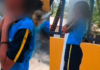 MENINA DE 12 ANOS SOFRE MAIS DE 100 FERROADAS DURANTE ATAQUE DE ABELHAS EM IBIRITÉ